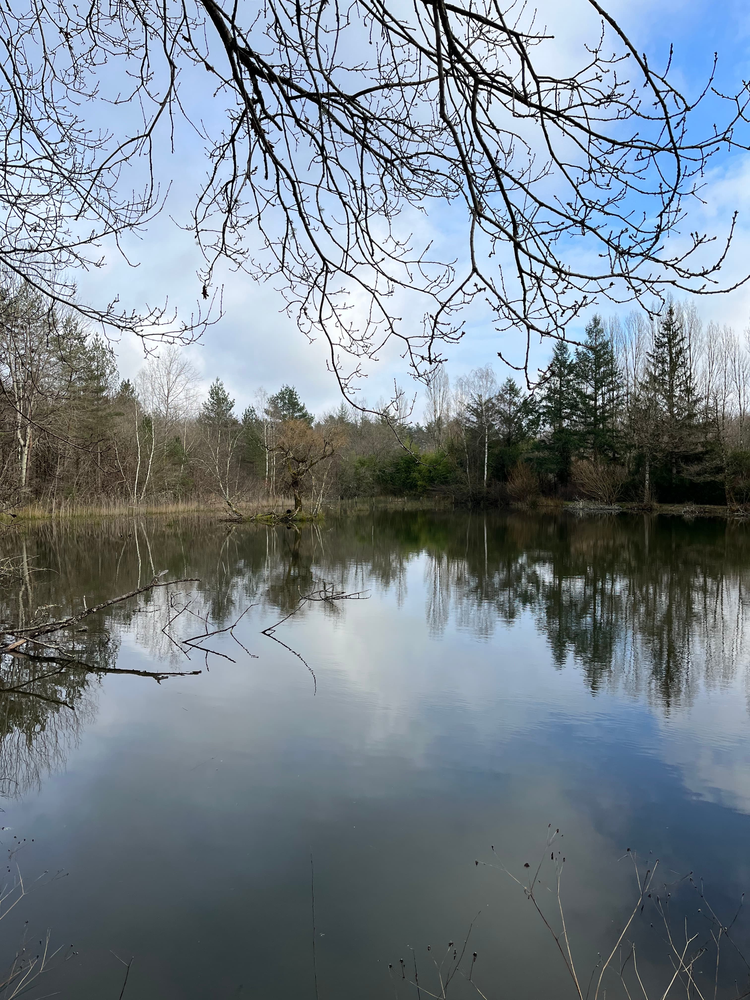 Étang au cœur de 42 hectares de forêt privée avec maisonnette