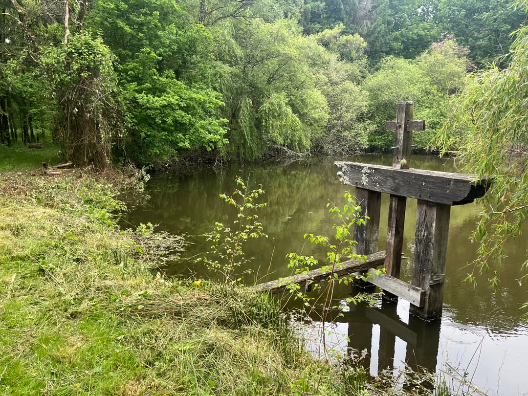 Etang dans 42 hectares de forêt privé