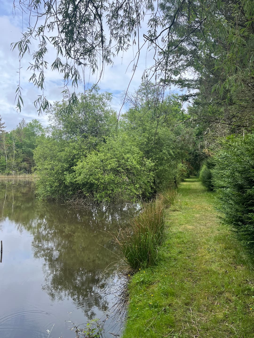 Etang dans 42 hectares de forêt privé
