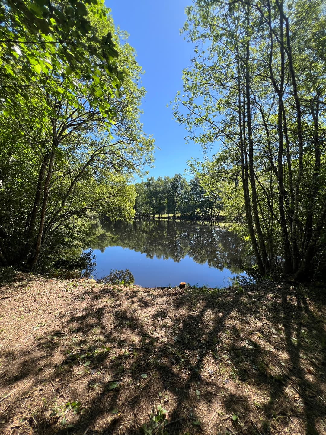 Étang niché au coeur de la campagne limousine