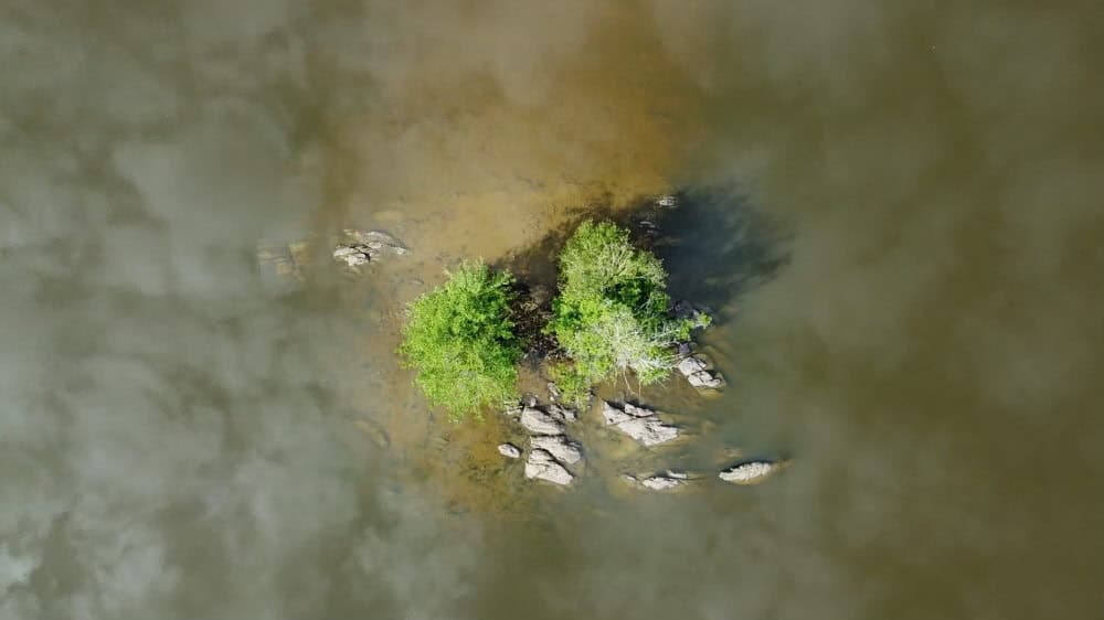 Etang du XVe siècle magnifique et préserver de 7 hectares. 