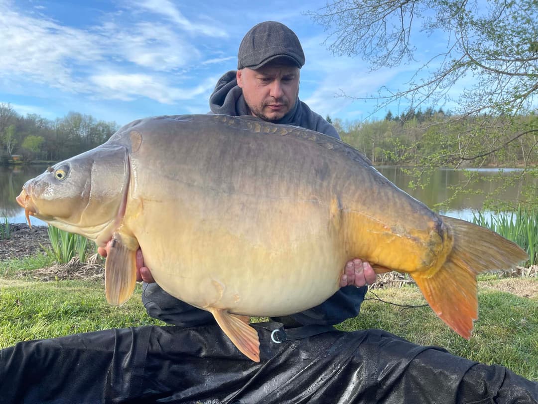 Etang du XVe siècle magnifique et préserver de 7 hectares. 