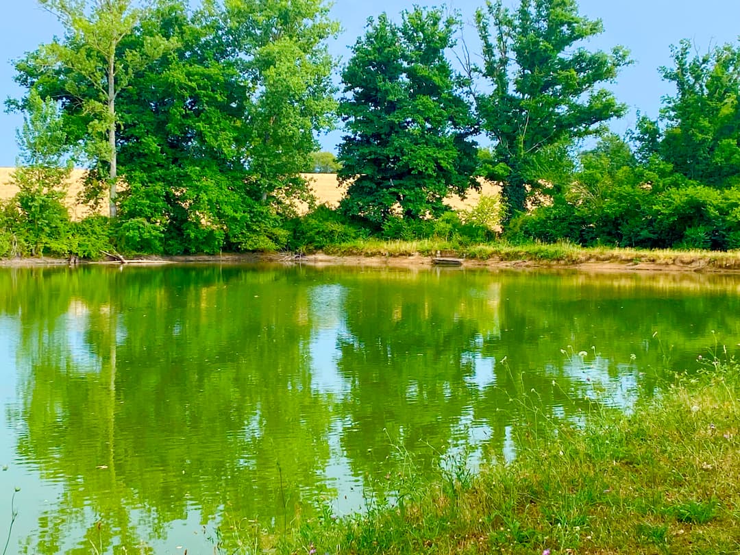 Étang familial calme, entretenu et poissonneux