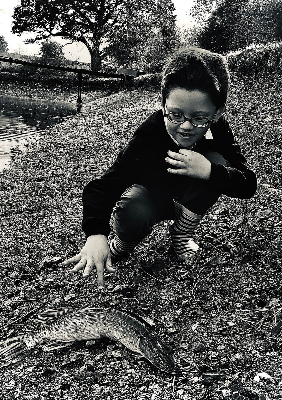 Étang familial calme, entretenu et poissonneux