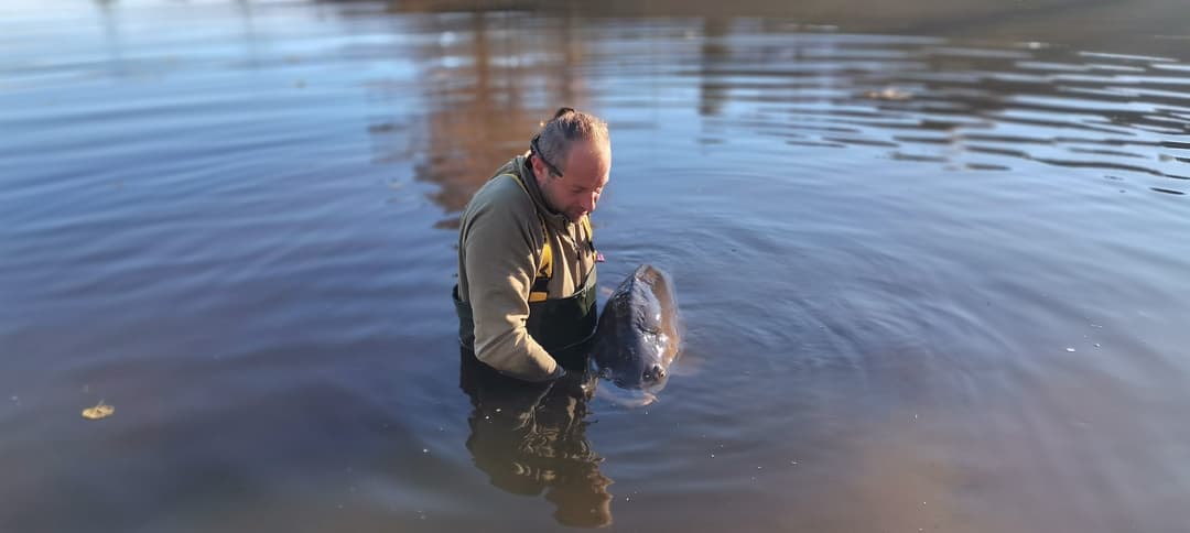 Nouveau domaine de pêche avec gîte tout confort pour 5 personnes 