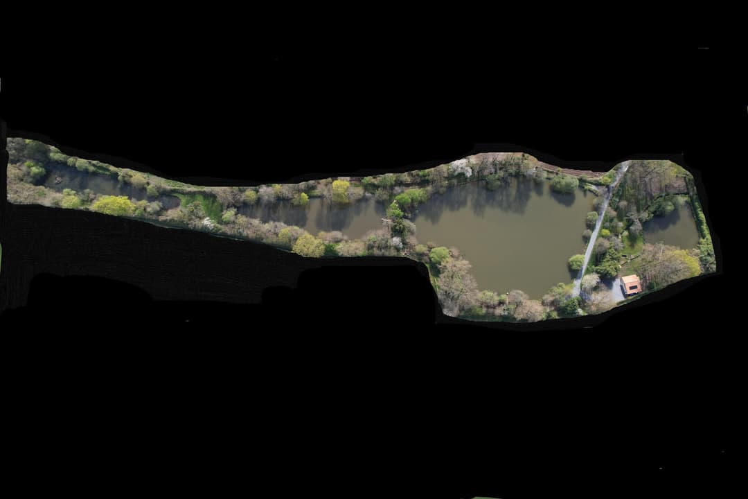 Etang avec son chalet en Nouvelle-Aquitaine 
