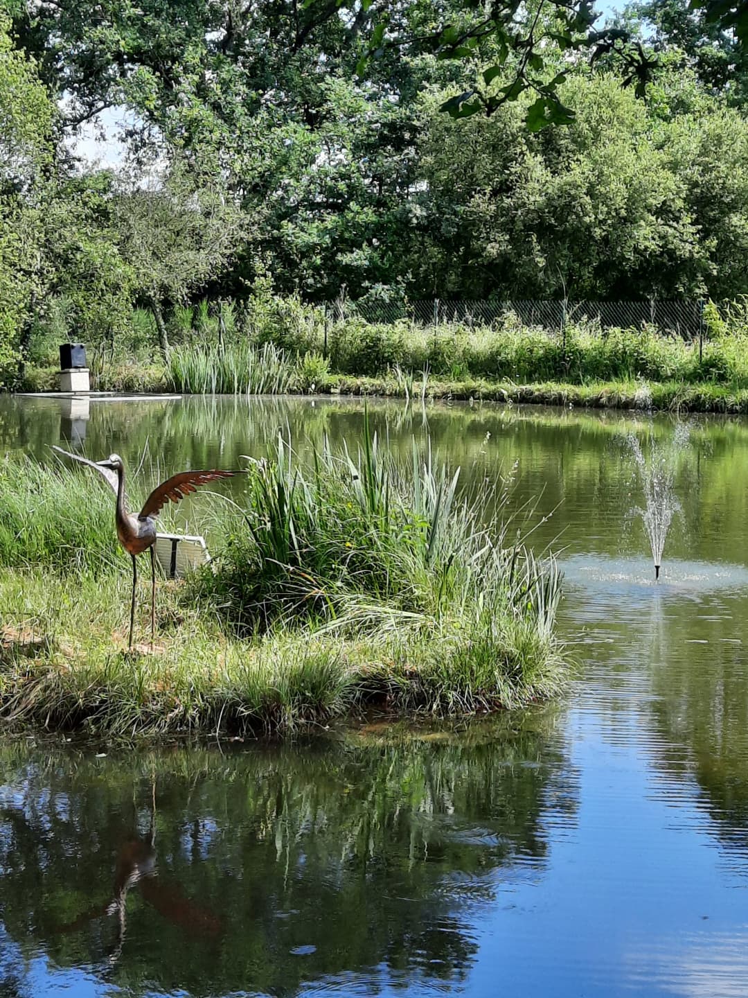 Etang avec son chalet en Nouvelle-Aquitaine 