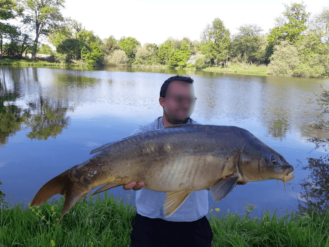 Etang avec son chalet en Nouvelle-Aquitaine 