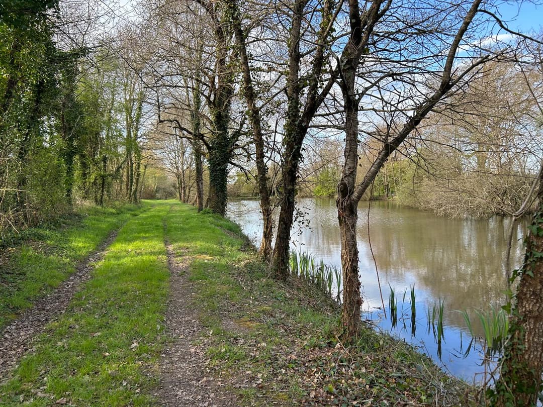 Etang avec son chalet en Nouvelle-Aquitaine 