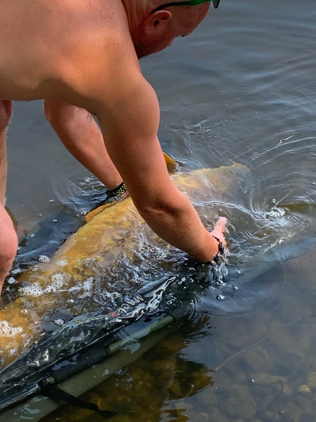 Etang avec son chalet en Nouvelle-Aquitaine 