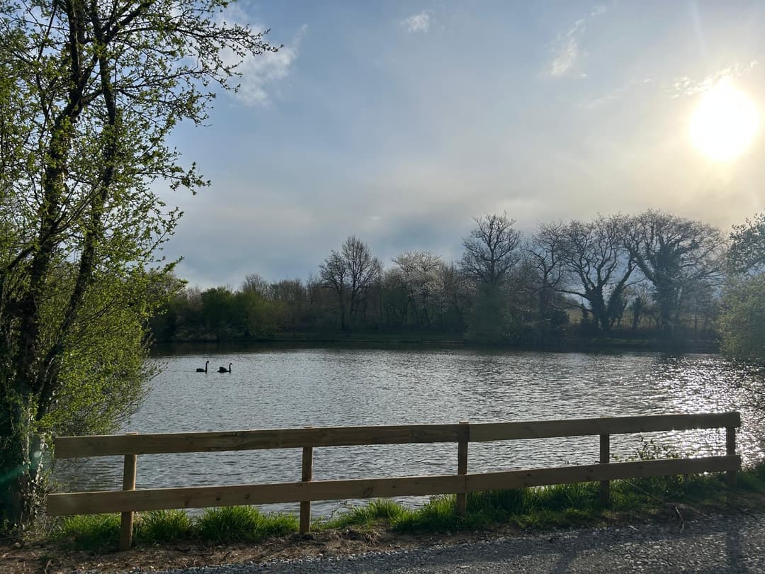Etang avec son chalet en Nouvelle-Aquitaine 