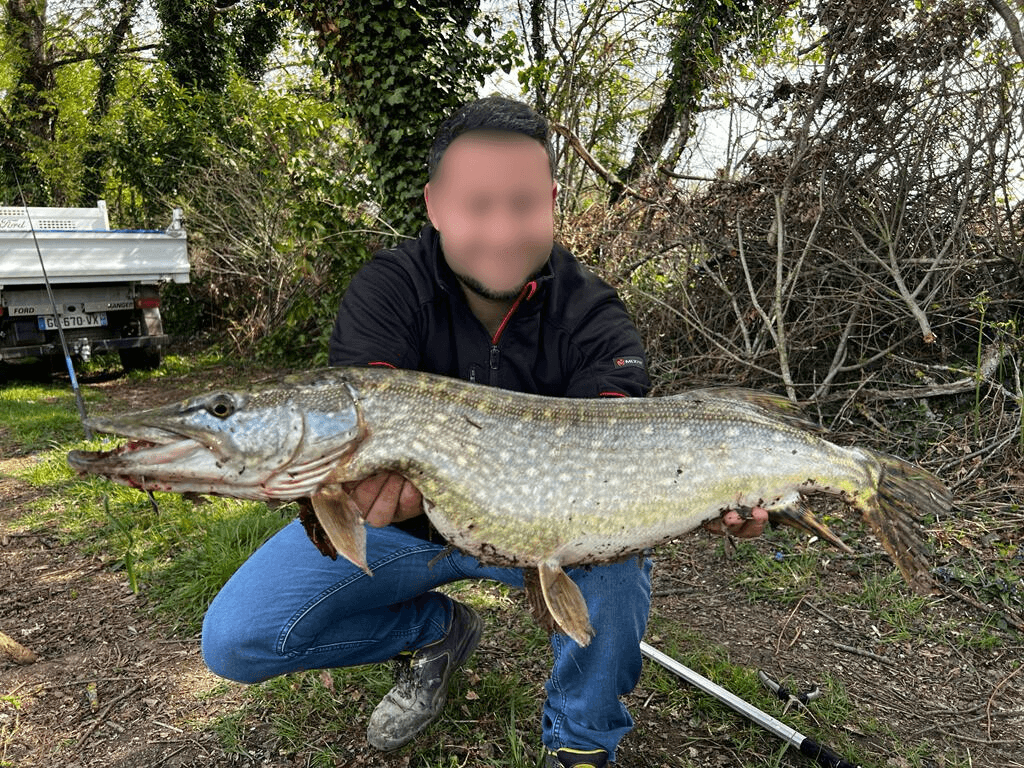 Etang avec son chalet en Nouvelle-Aquitaine 