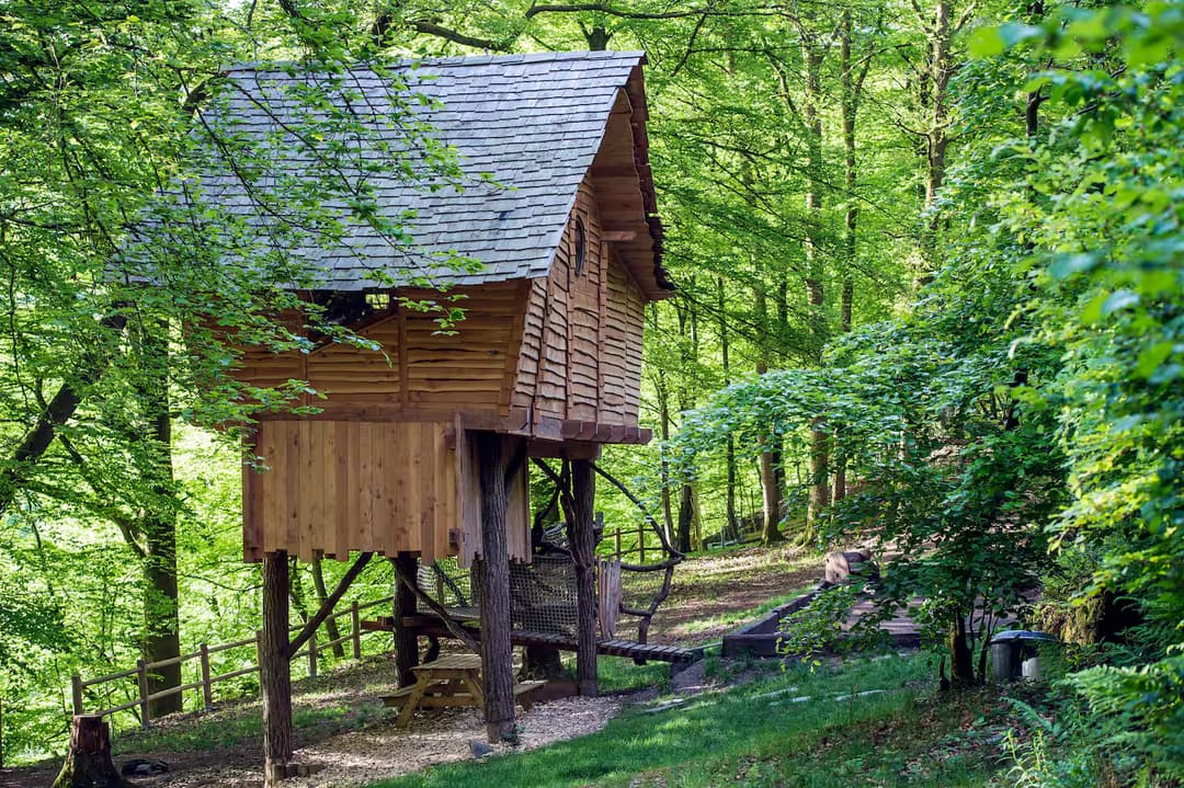 Maginifique cabane nichée dans les arcbres au bord de la rivière