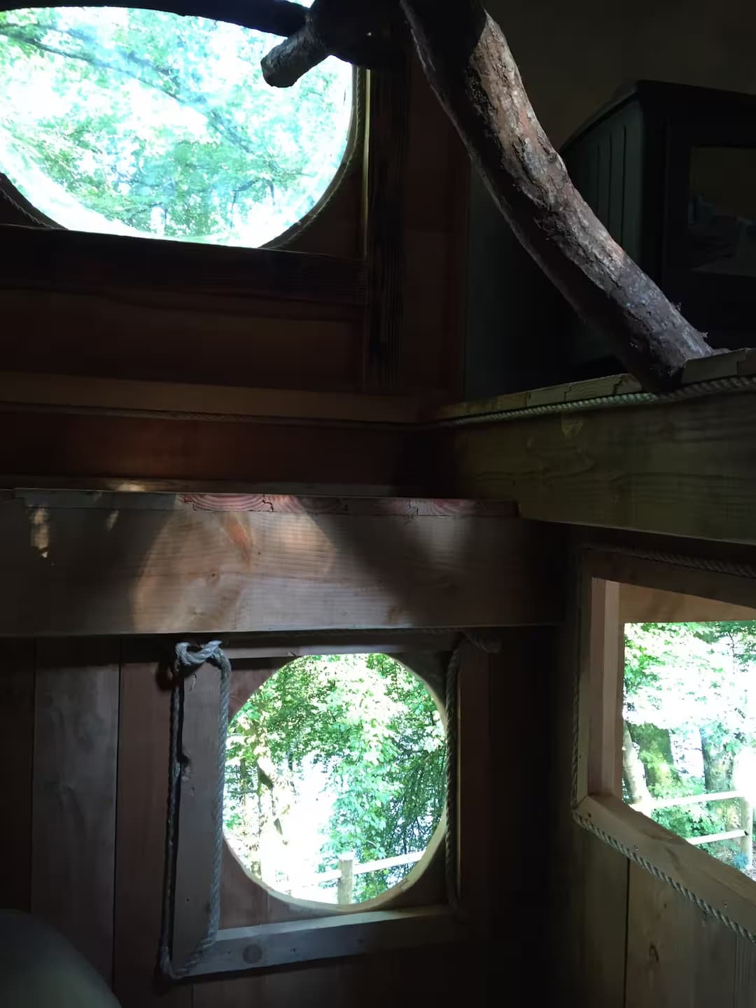 Maginifique cabane nichée dans les arcbres au bord de la rivière