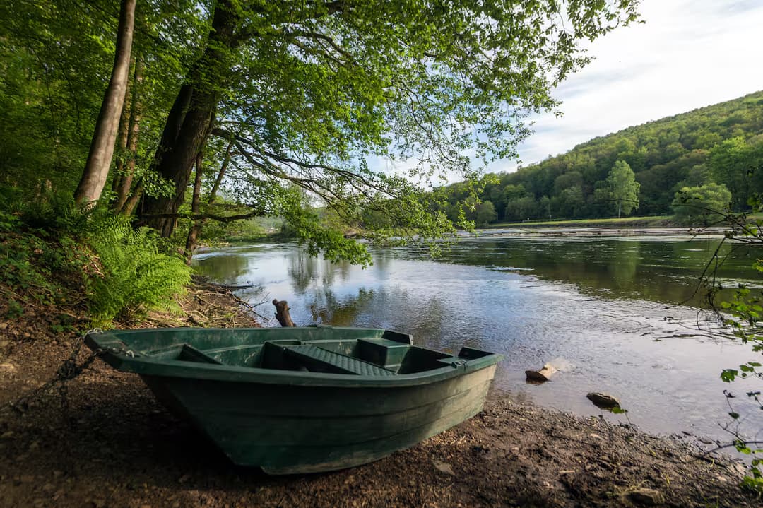 Maginifique cabane nichée dans les arcbres au bord de la rivière