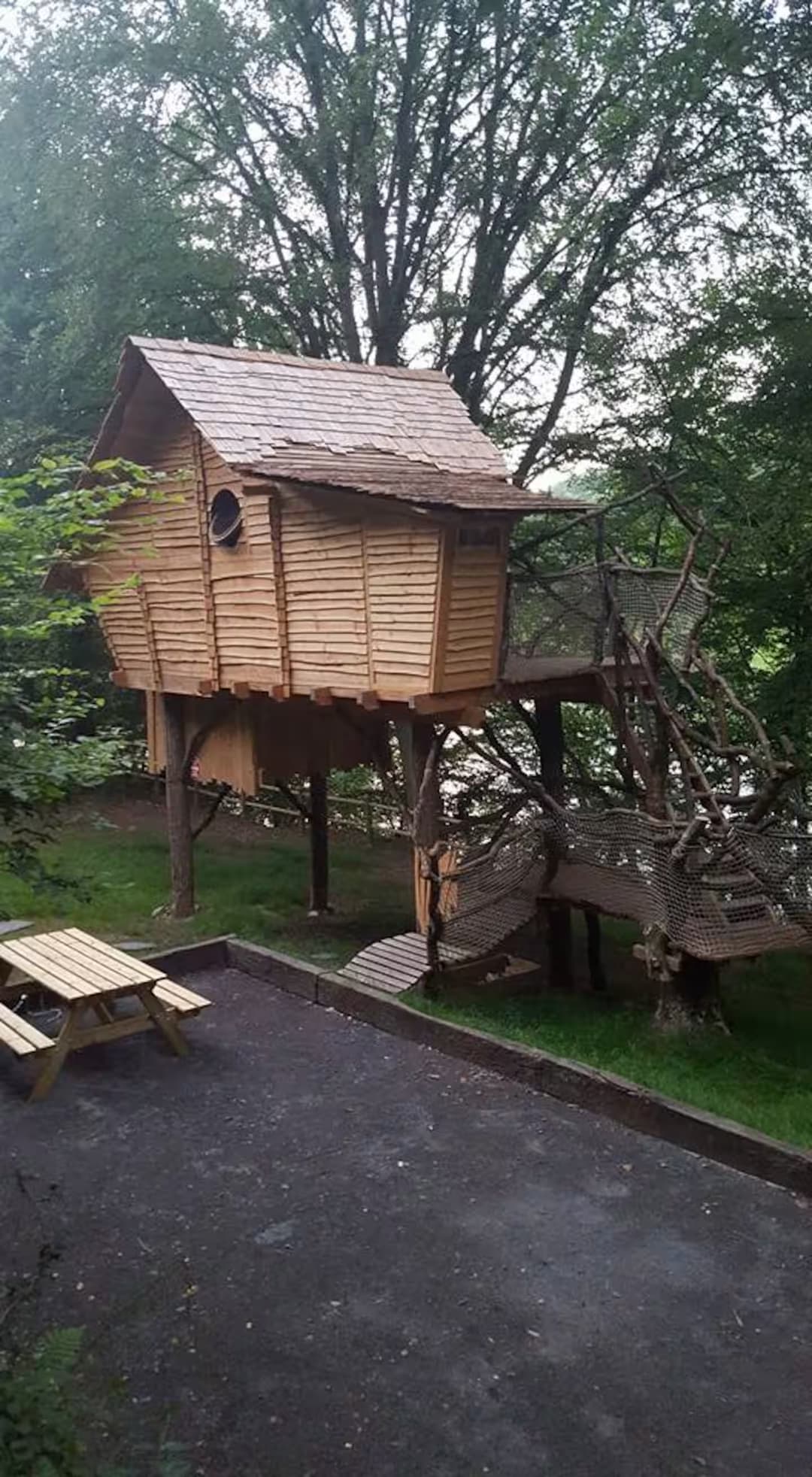 Maginifique cabane nichée dans les arcbres au bord de la rivière
