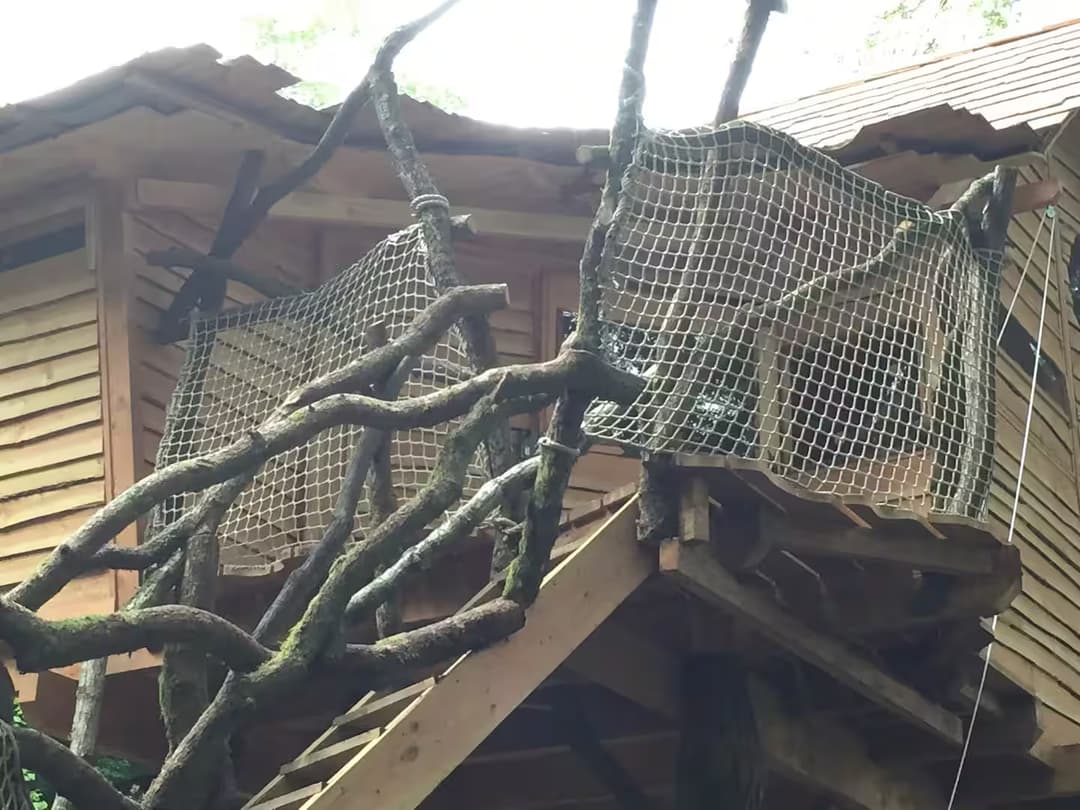 Maginifique cabane nichée dans les arcbres au bord de la rivière