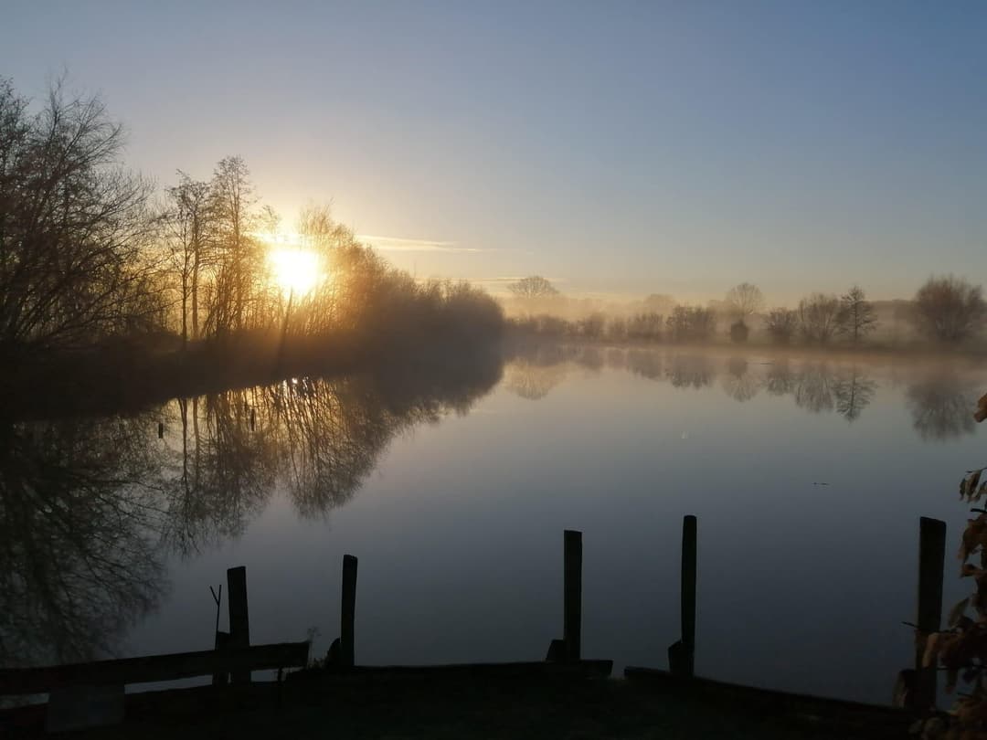 Étang de 2 hectares pour la pêche ou un moment de détente 
