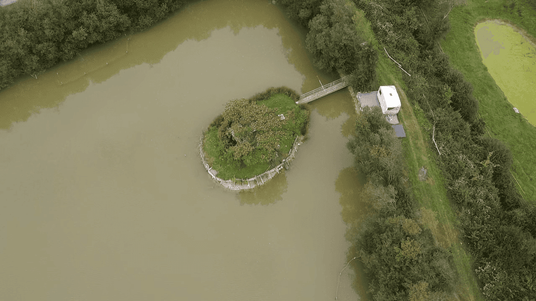 Étang de 2 hectares pour la pêche ou un moment de détente 