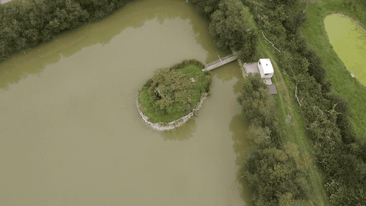 Étang de 2 hectares pour la pêche ou un moment de détente 