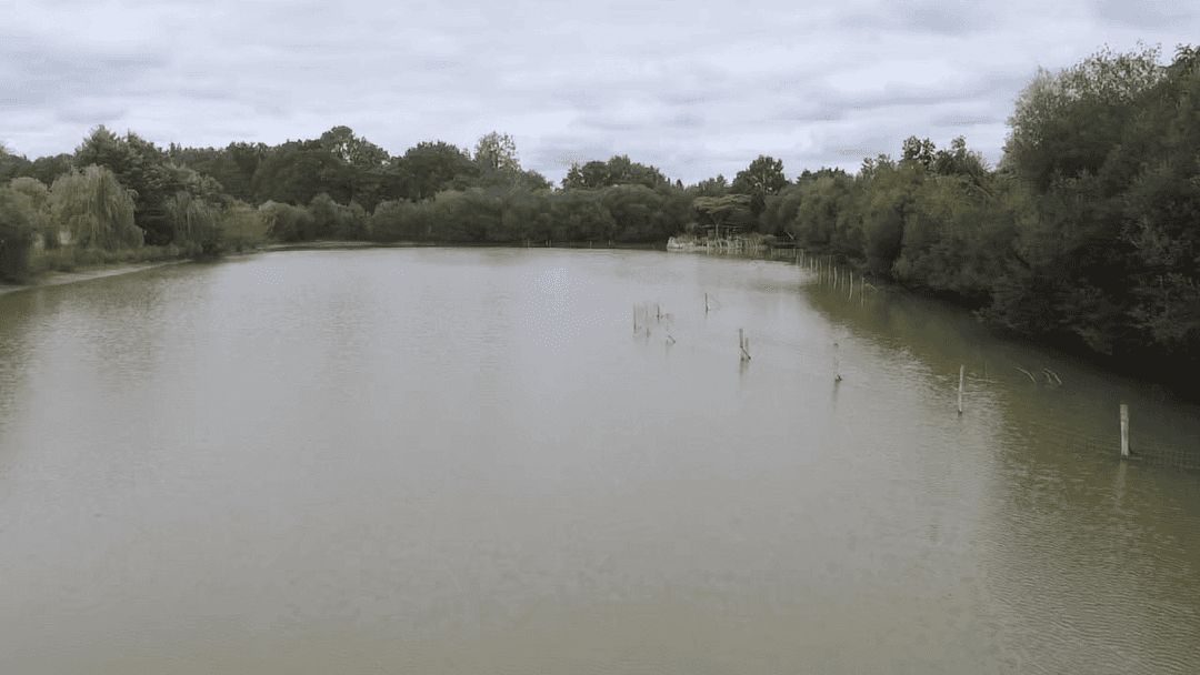 Étang de 2 hectares pour la pêche ou un moment de détente 