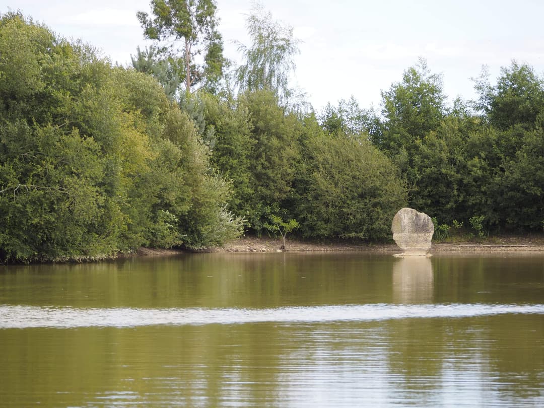 Étang de 2 hectares pour la pêche ou un moment de détente 