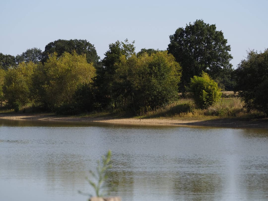Étang de 2 hectares pour la pêche ou un moment de détente 