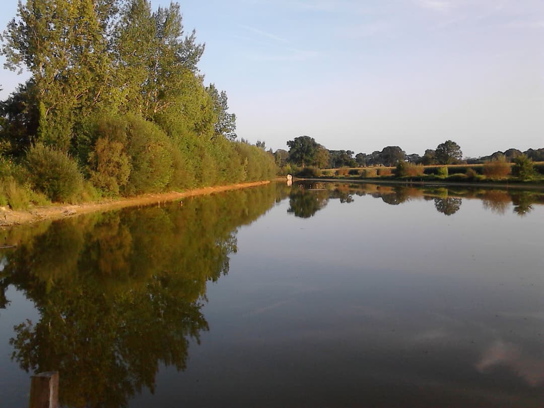 Étang de 2 hectares pour la pêche ou un moment de détente 