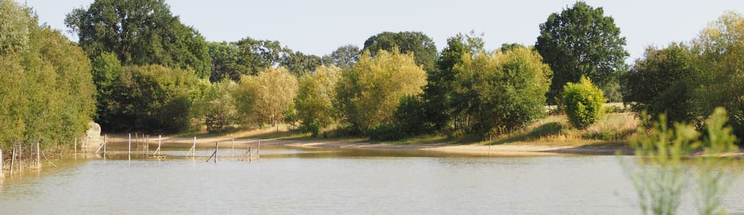 Étang de 2 hectares pour la pêche ou un moment de détente 