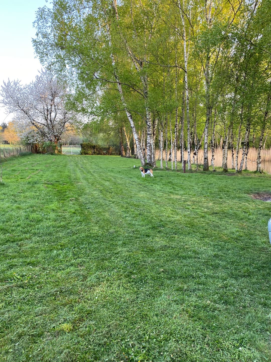 Location petit étang privé à la campagne