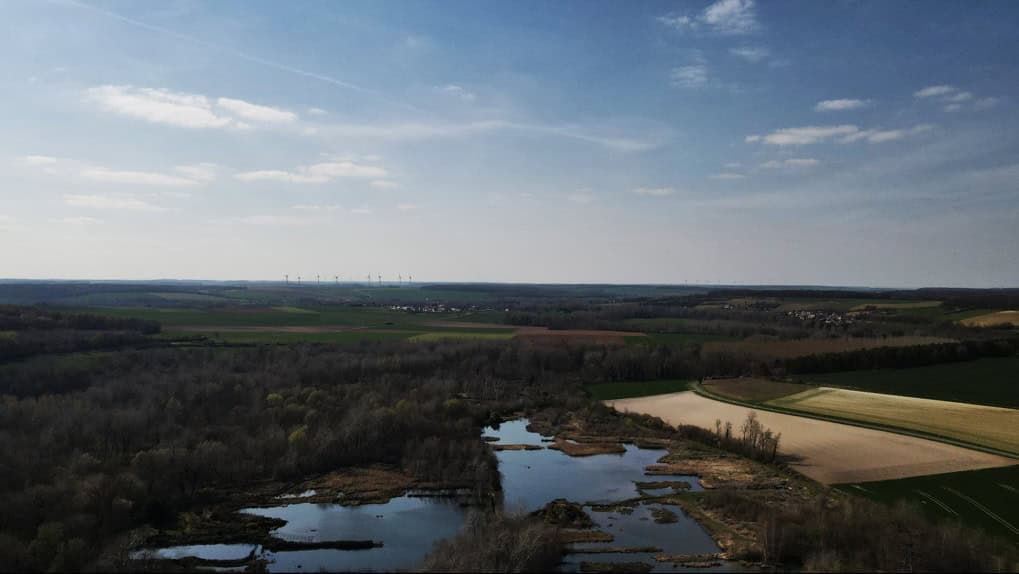 Superbe étang sauvage de 2.5 ha au calme au milieu de la nature 