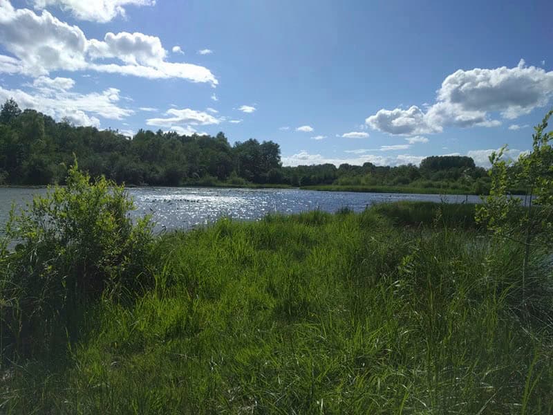Superbe étang sauvage de 2.5 ha au calme au milieu de la nature 
