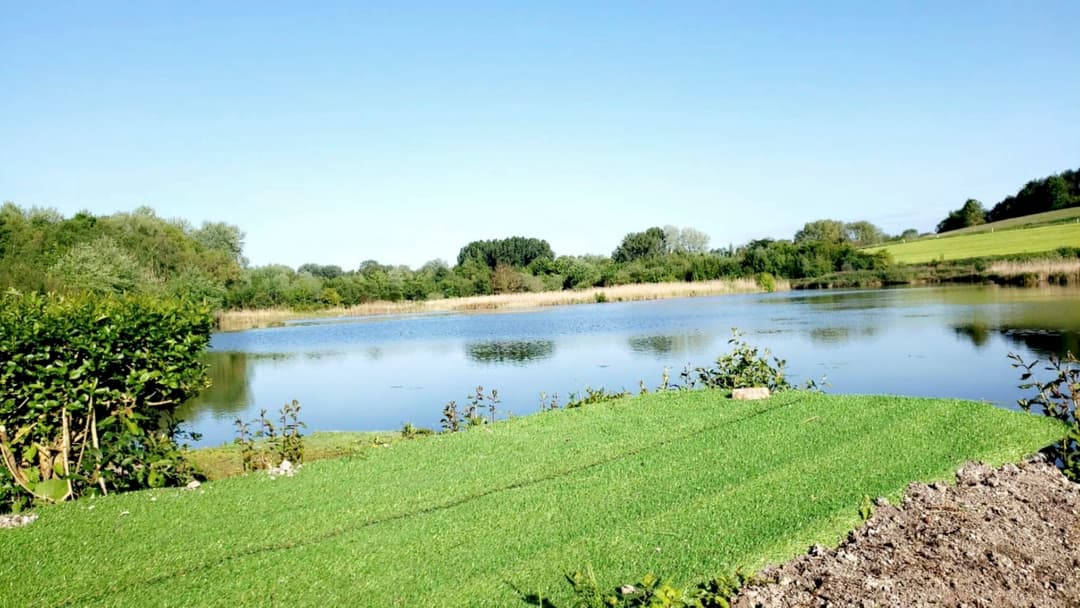 Superbe étang sauvage de 2.5 ha au calme au milieu de la nature 