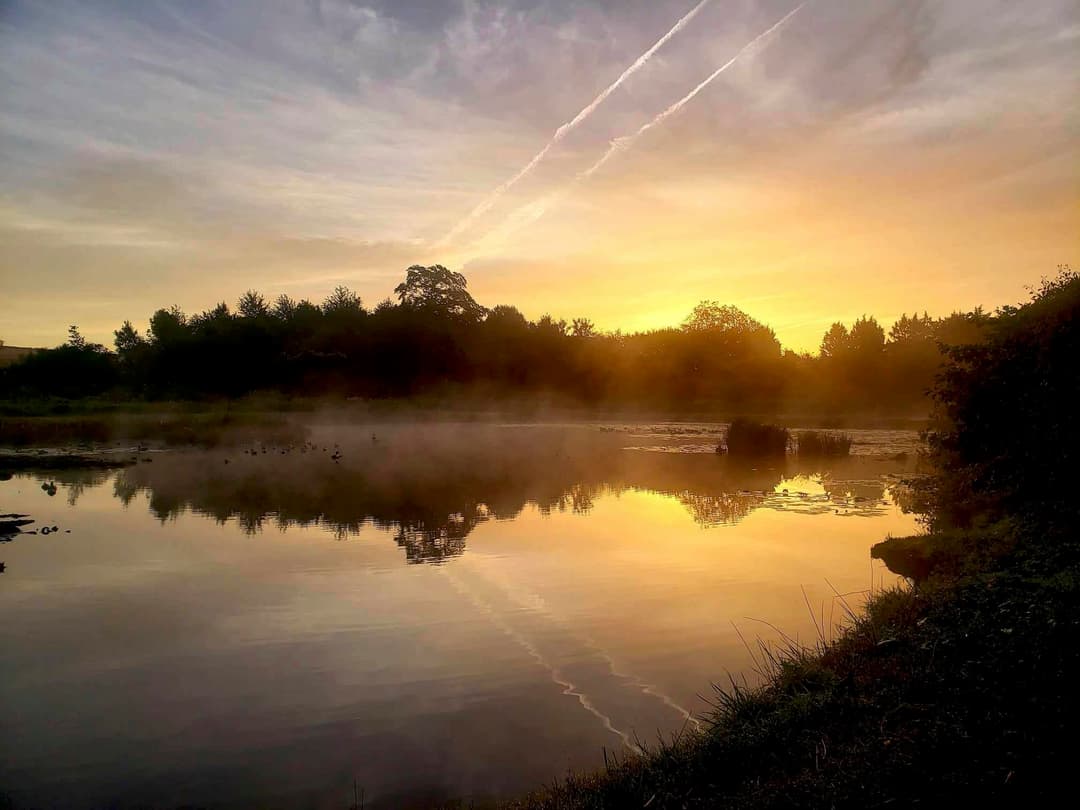 Superbe étang sauvage de 2.5 ha au calme au milieu de la nature 