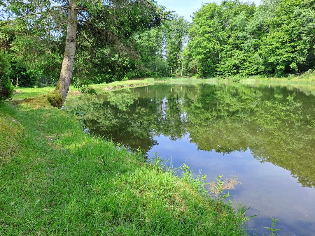 La Fontaine Tchito