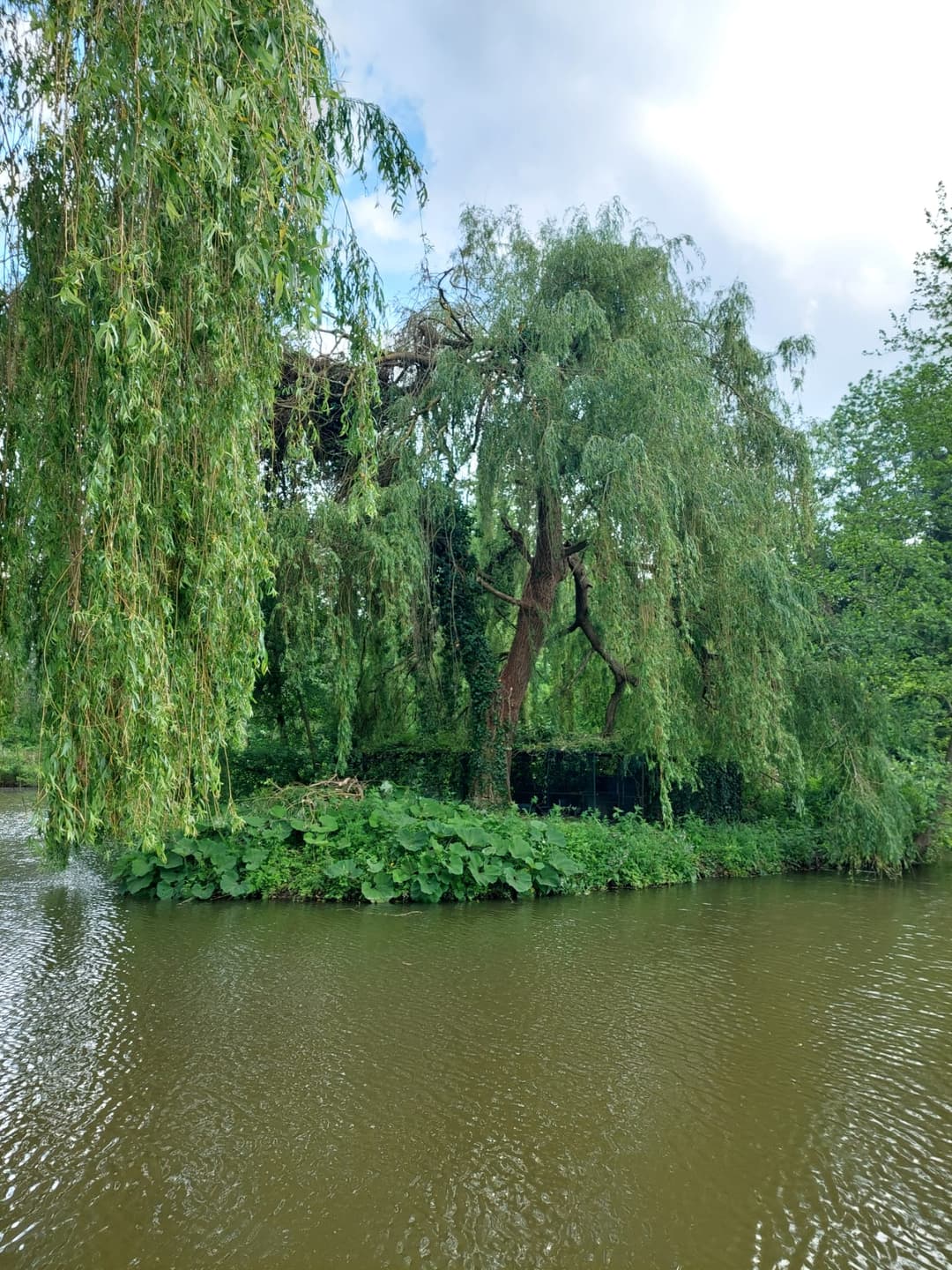 Terrain de loisir avec son étang de pêche 