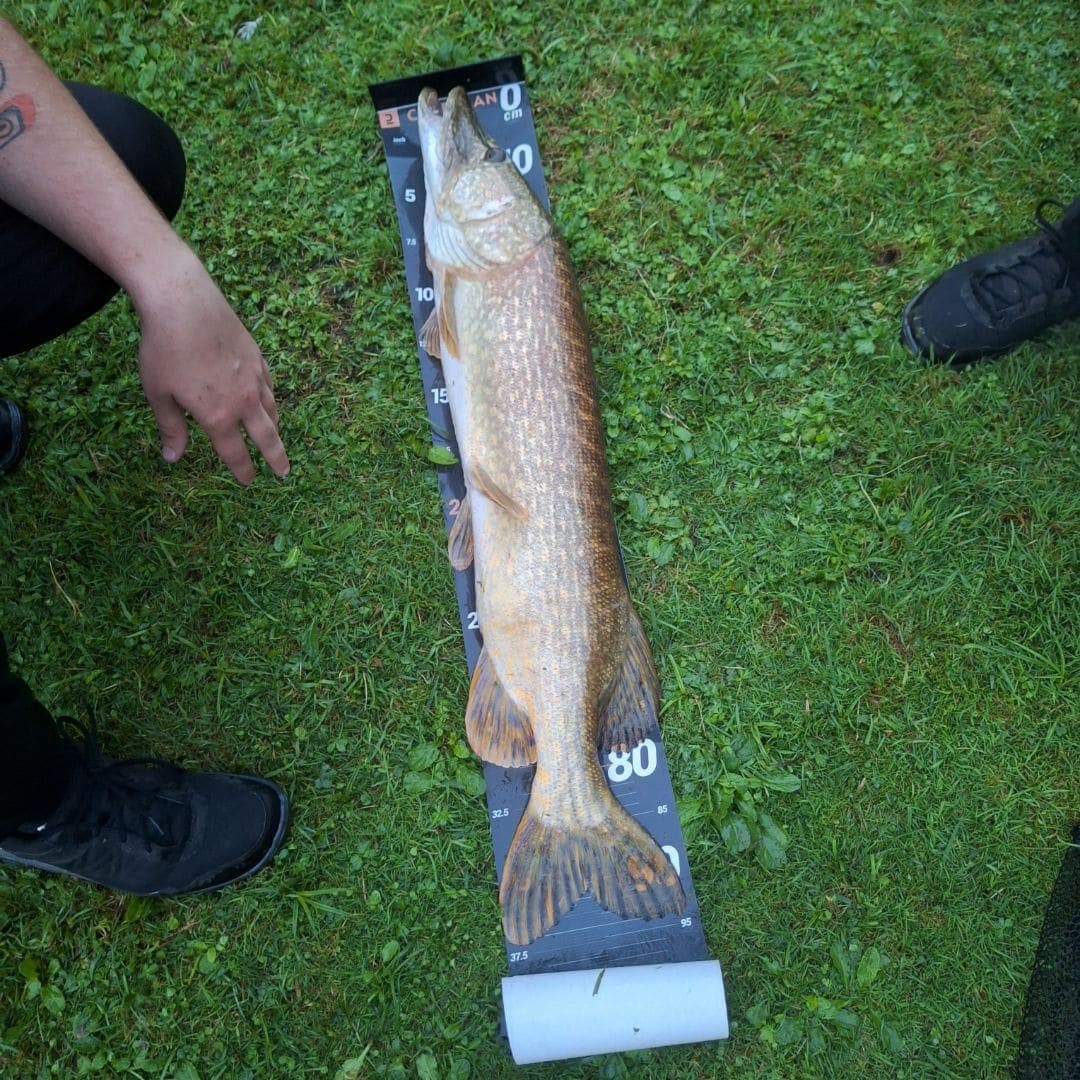 Terrain de loisir avec son étang de pêche 