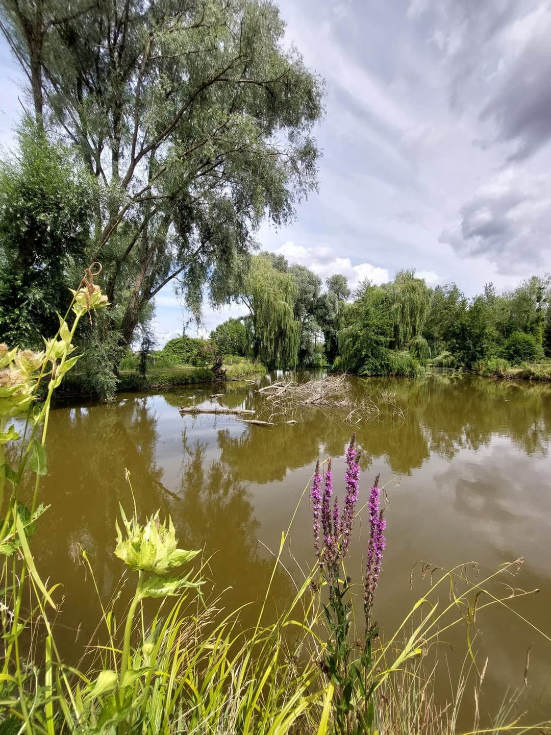 Terrain de loisir avec son étang de pêche 