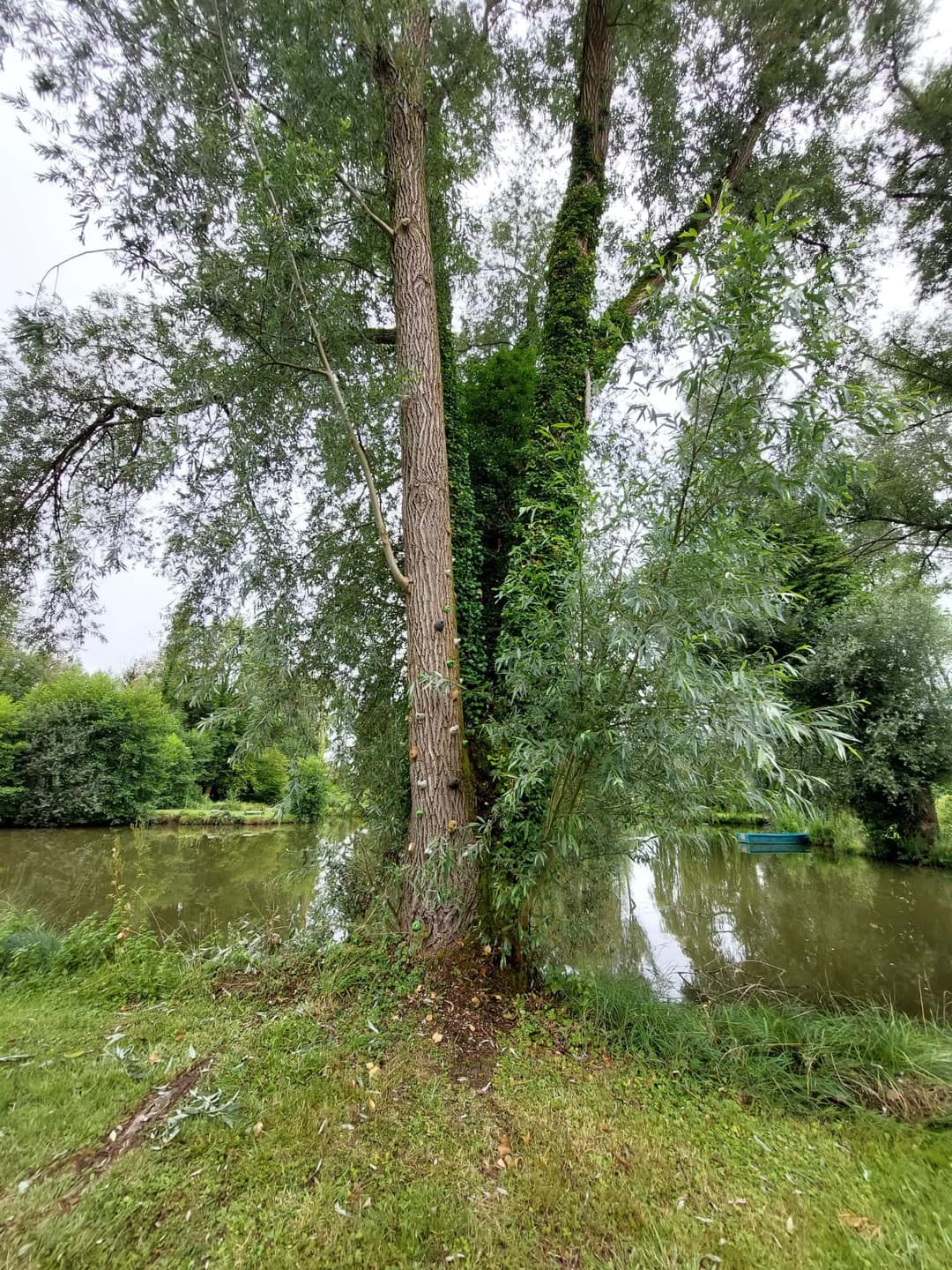 Terrain de loisir avec son étang de pêche 