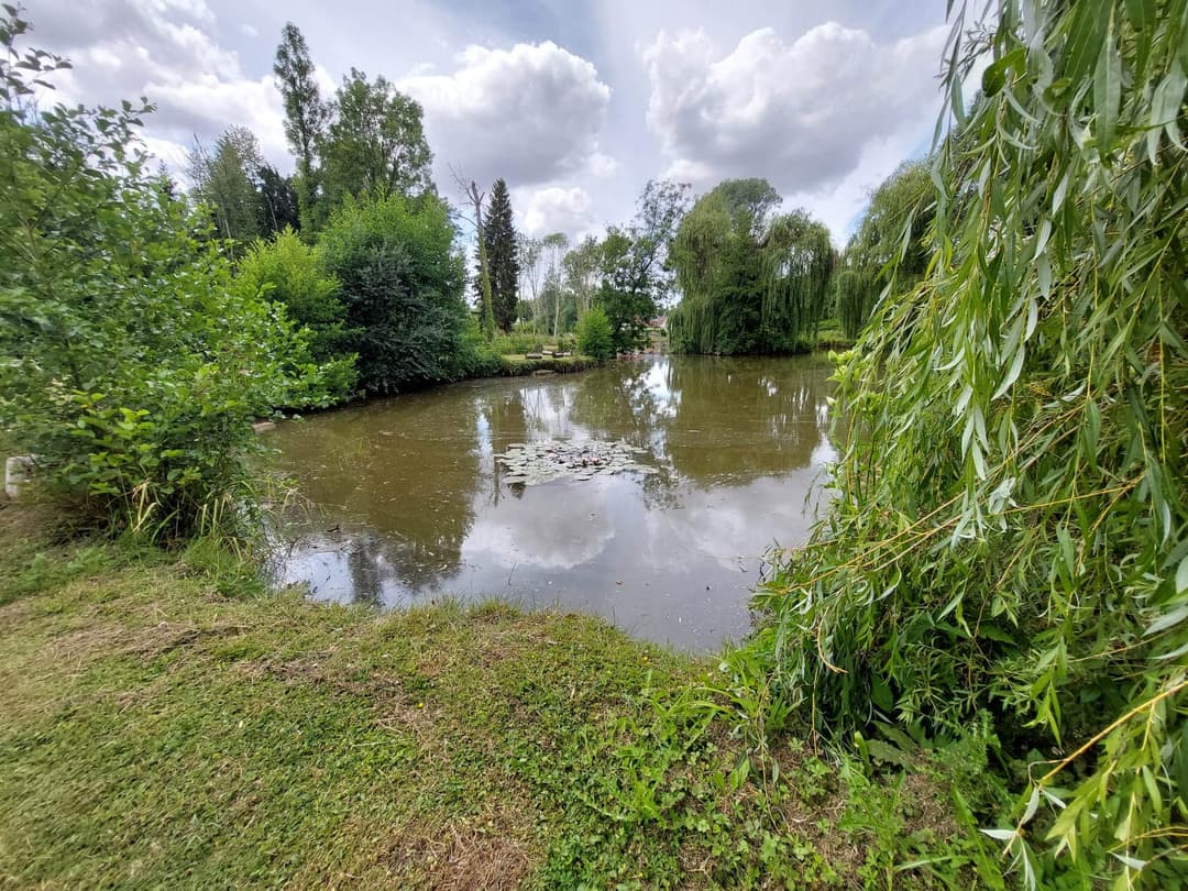 Terrain de loisir avec son étang de pêche 