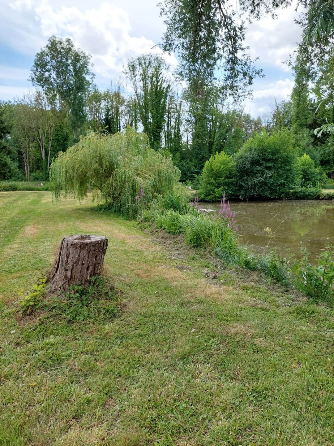 Terrain de loisir avec son étang de pêche 