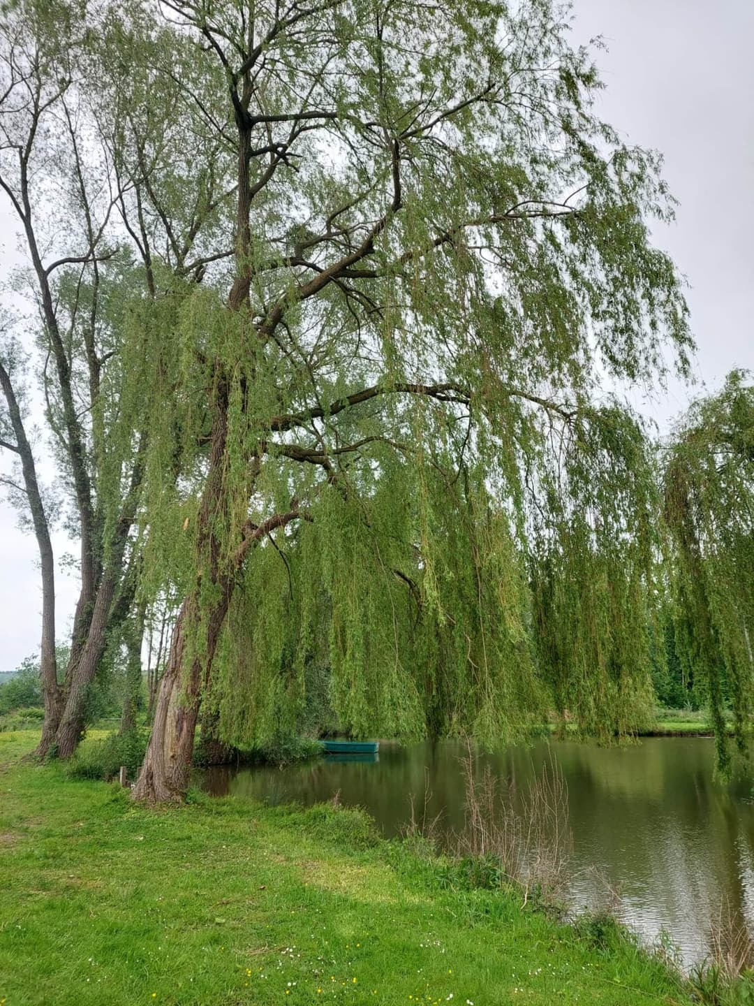 Terrain de loisir avec son étang de pêche 