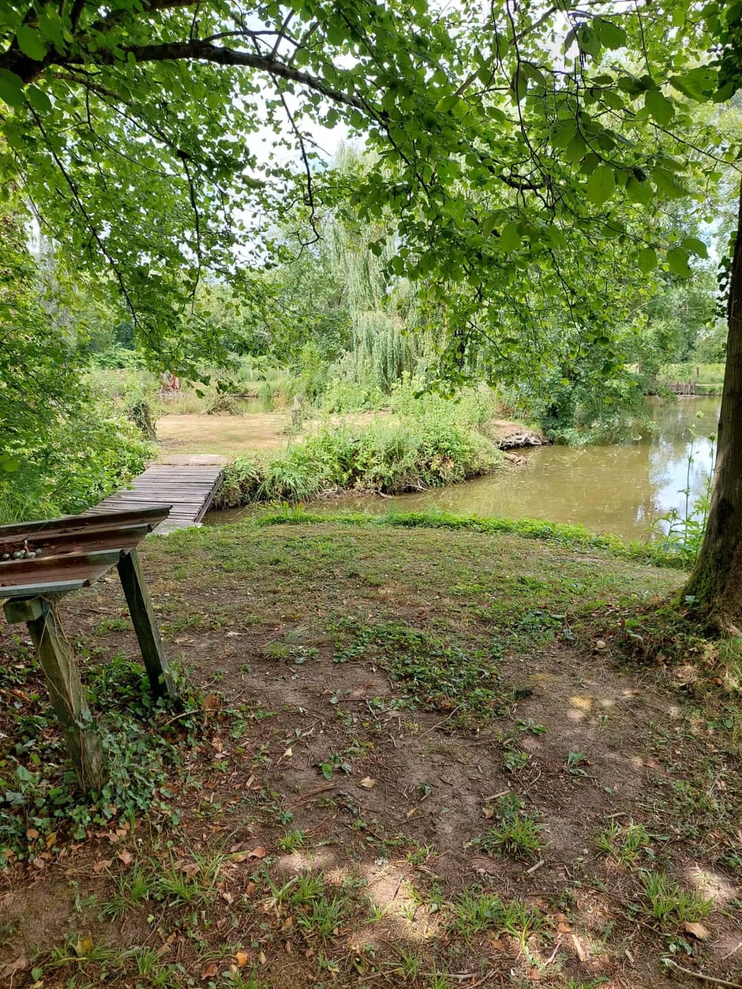 Terrain de loisir avec son étang de pêche 