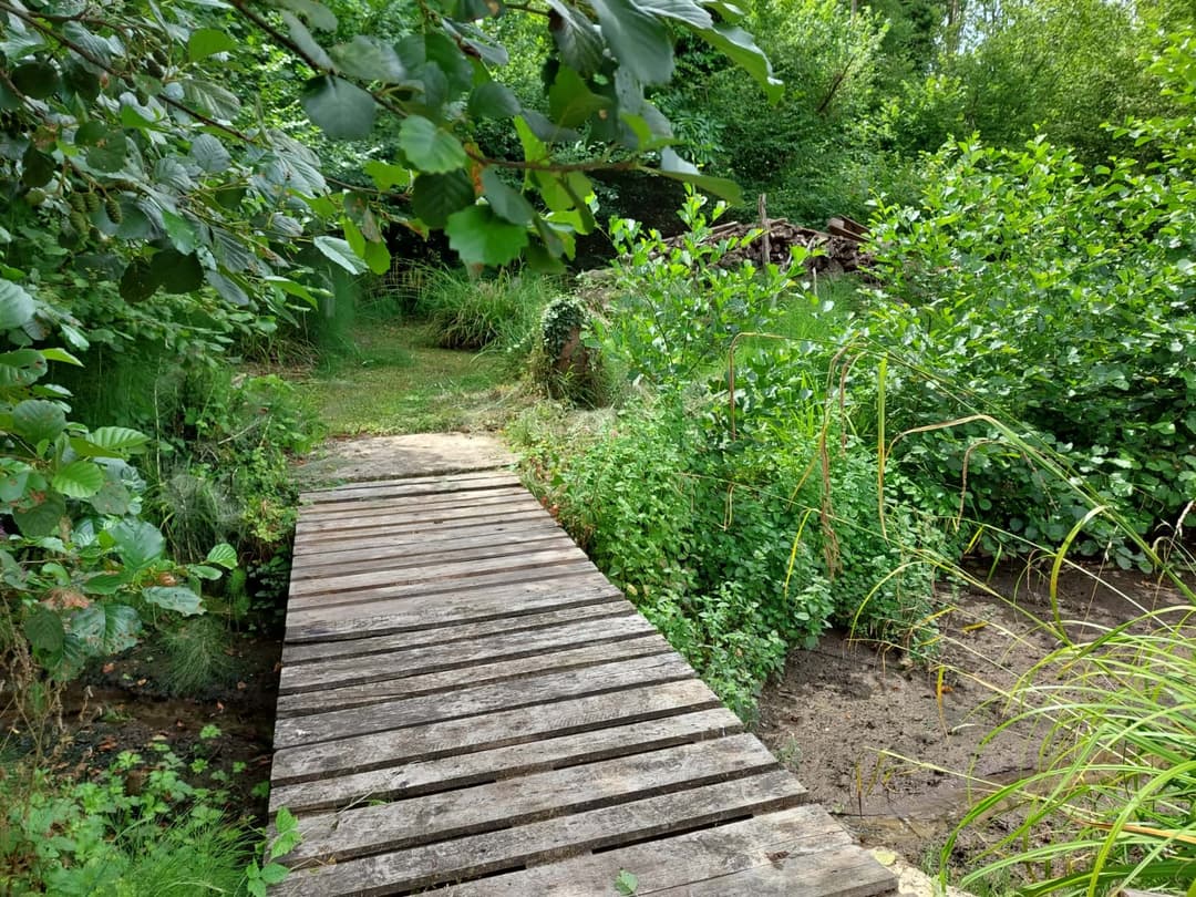 Terrain de loisir avec son étang de pêche 