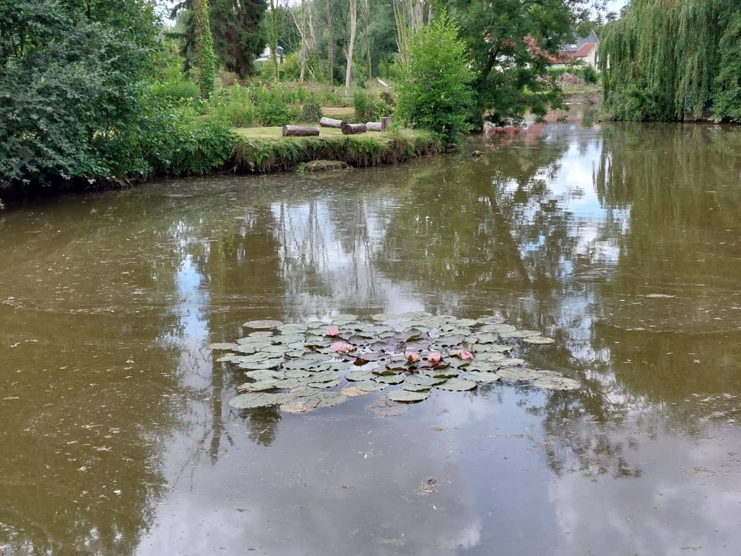 Terrain de loisir avec son étang de pêche 