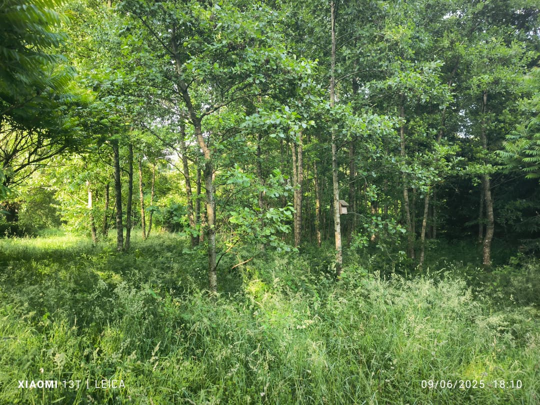Terrain de loisirs avec etang