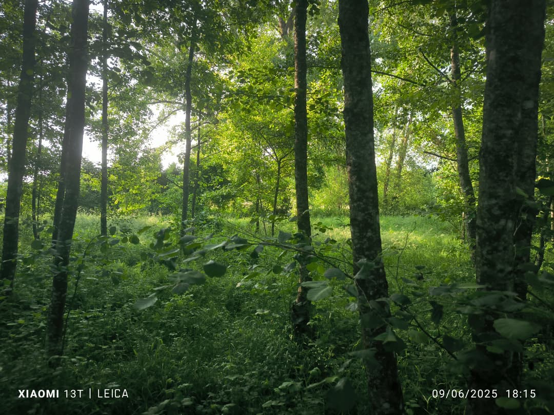 Terrain de loisirs avec etang