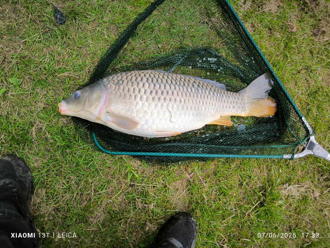 Terrain de loisirs avec etang