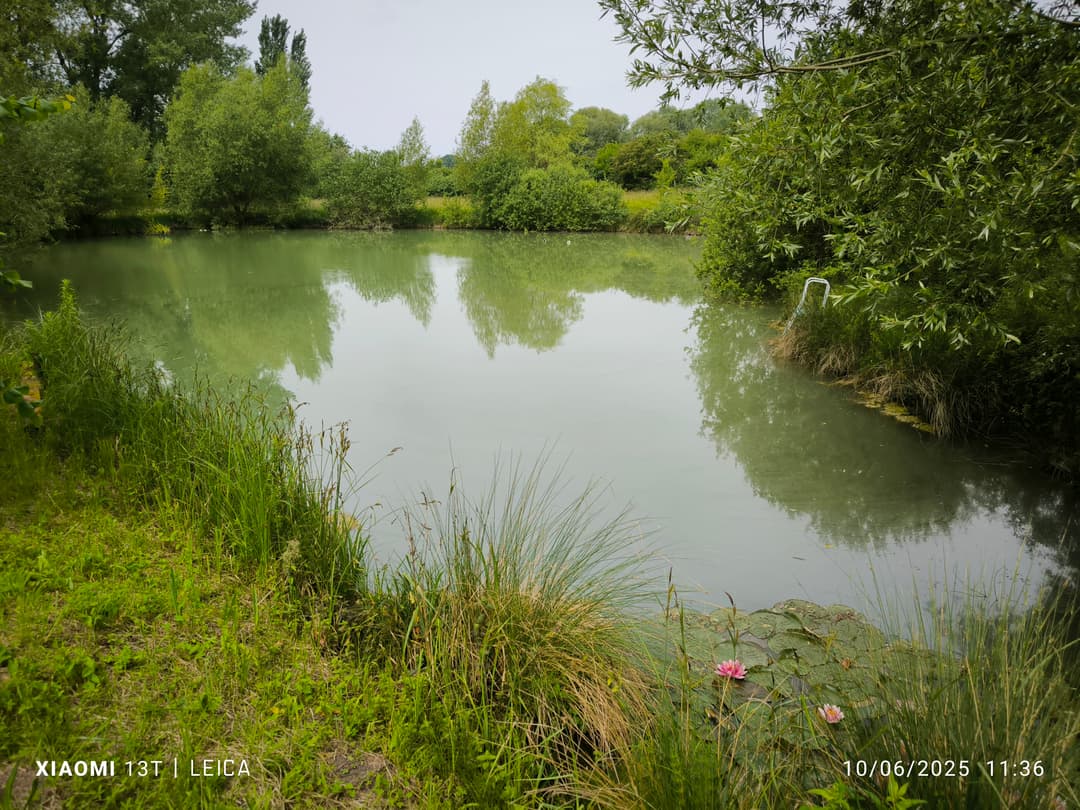 Terrain de loisirs avec etang