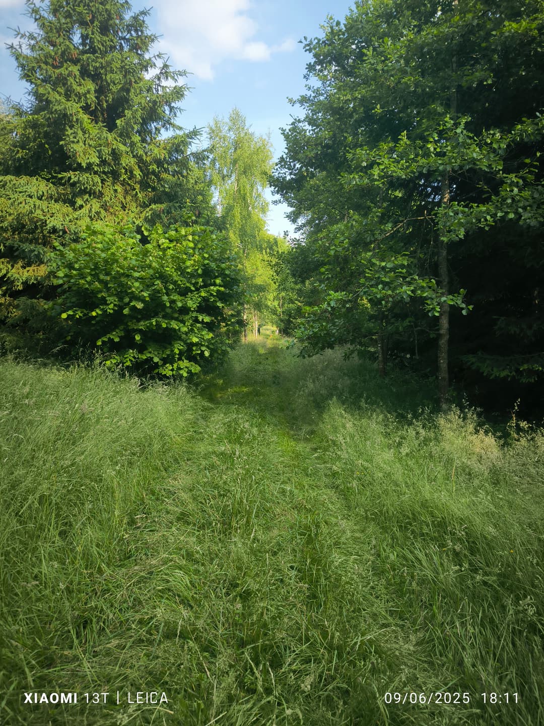 Terrain de loisirs avec etang
